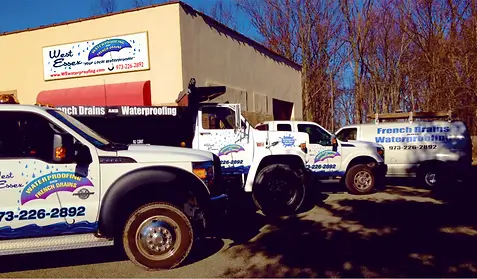 West Essex Waterproofing Truck fleet