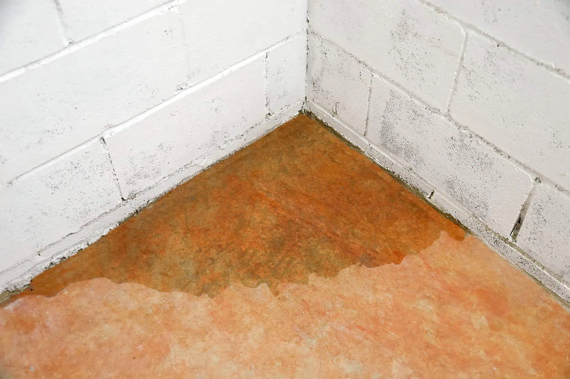 damp spots basement floor